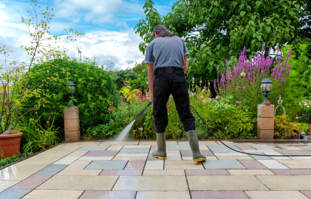 Best Pre-Holiday Cleaning  in Estancia, NM